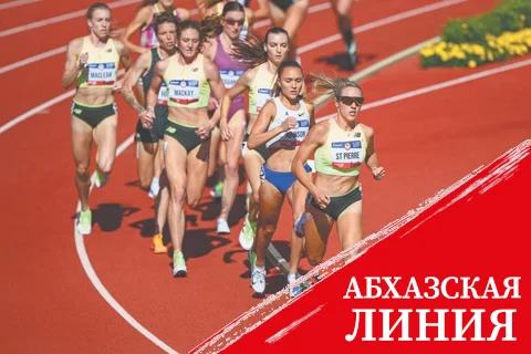 22-6-3480.jpg
