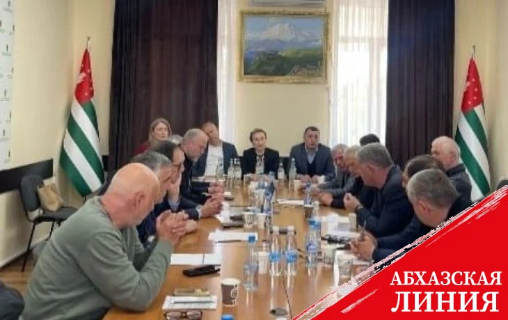 
Общественная палата презентовала проект конституционной реформы
