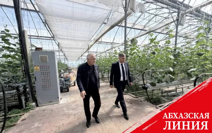 
Вараздат Миносян и Беслан Джопуа посетили ряд аграрных предприятий в Очамчырском и Гулрыпшском районах
