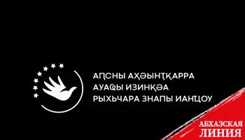 
Омбудсмен Анас Кишмария направила запрос в МВД по информации о нападении на гражданских активистов
