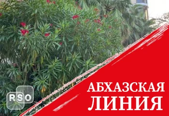 Арбитражный апелляционный суд: сочинские рестораны «Баран-Рапан» и «Феттуччине» должны быть закрыты