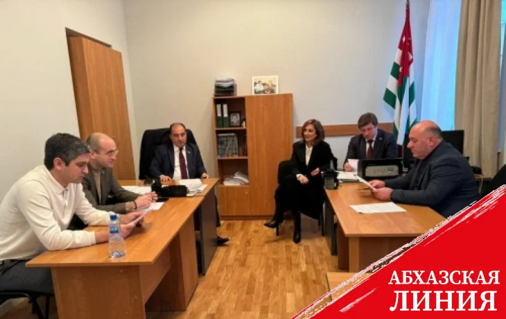 Комитет по международным, межпарламентским связям и связям с соотечественниками обсудил обращение Президента Республики Абхазия  