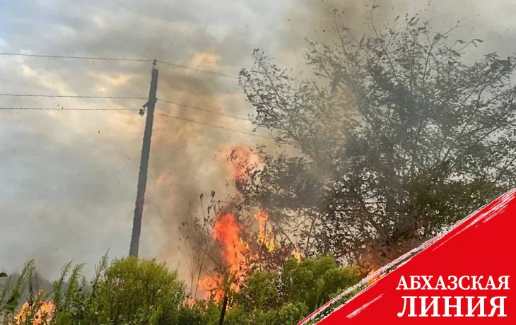 
Пожарные ликвидировали очаги возгорания в селе Адзюбжа
