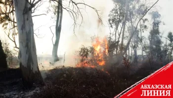 
Пожарные ликвидировали очаги возгорания в селах Мыку и Лашкиндар
