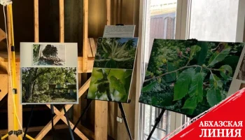 В центре «Проспект» проходит фотовыставка, посвященная проблеме сохранения каштановых лесов
