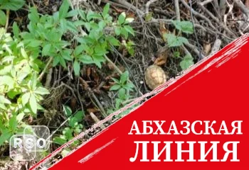 Житель Знаурского района во время рыбалки выловил в реке гранату