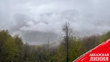 Погода в Грузии: снегопад и туманы идут на восток страны