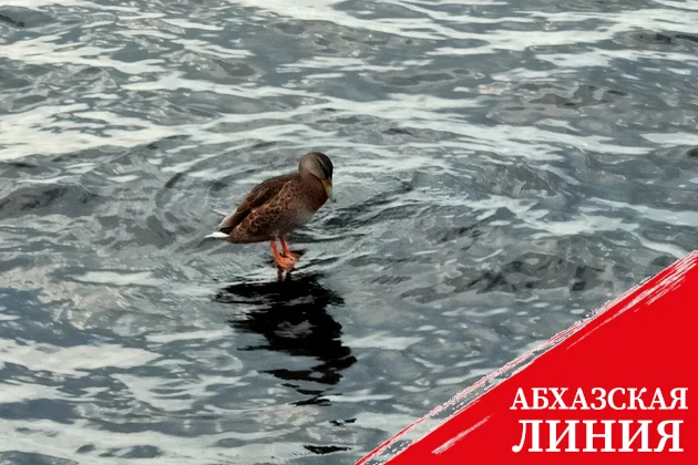 Каспийское море критически обмелело в Казахстане
