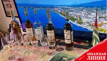 
ТПП: Деловые круги Германии проявили интерес к инвестициям в Абхазию
 
