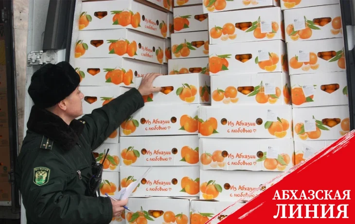 
В Россию из Абхазии импортировали
20 тысяч тонн мандаринов
