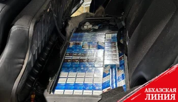 
Российские пограничники изъяли более 3000 пачек сигарет на границе с Абхазией
