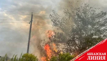 
Пожарные ликвидировали очаги возгорания в селе Адзюбжа
