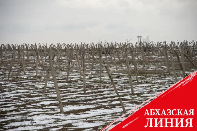 МИД: армянские мины продолжают угрожать жизням людей в Азербайджане