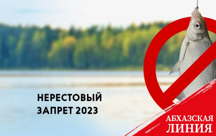 
Тенгиз Джергения: Популяция лосося в реках Абхазии уменьшается
