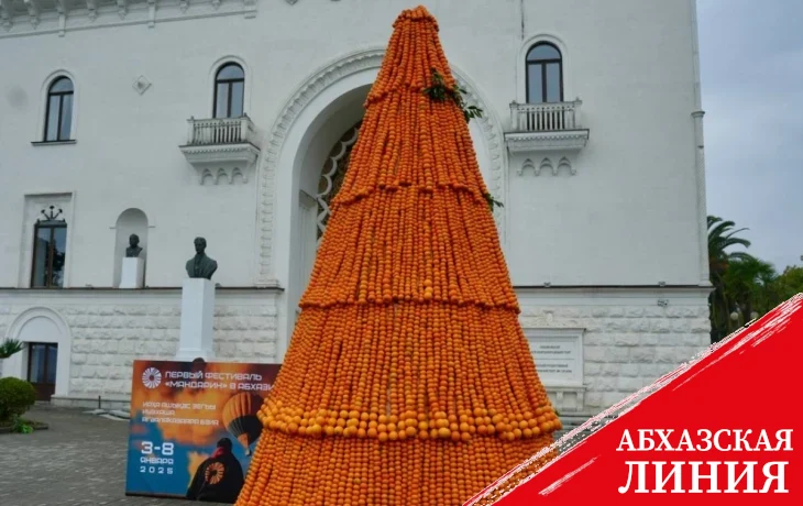 
Мандариновую елку установили на площади перед Абхазским драмтеатром
