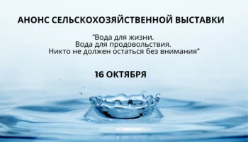 16 октября в Сухуме пройдет выставка в честь Всемирного дня продовольствия, организованная проектным офисом ФАО ООН