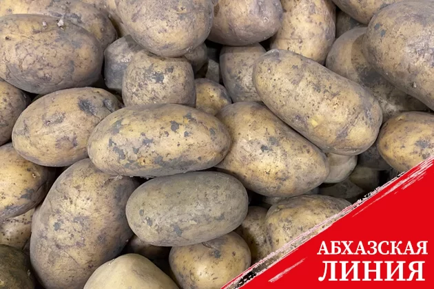 Россия и Азербайджан помогут друг другу с яйцами и картофелем