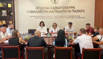 
В ТПП Абхазии прошла встреча с предпринимателями Ставропольского края

