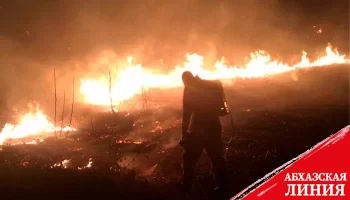 Пожарные потушили несколько очагов природного возгорания в Очамчырском районе
