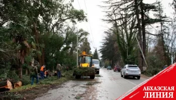 Коммунальные службы столицы всю ночь ликвидировали последствия стихии 